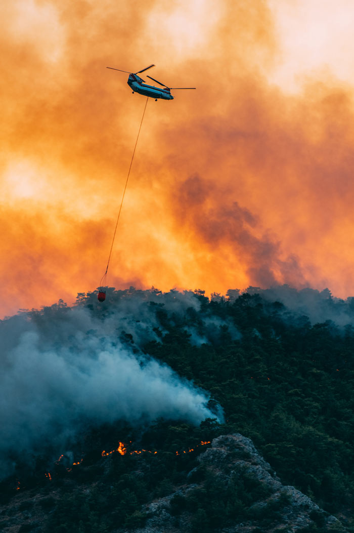 w-fire w-fire